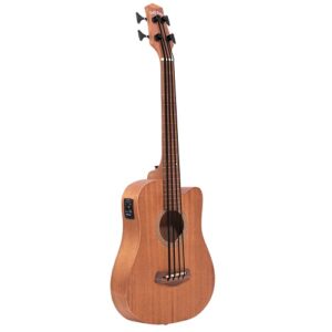 Goldtone Microbass 23 FL 23" Scale Fretless