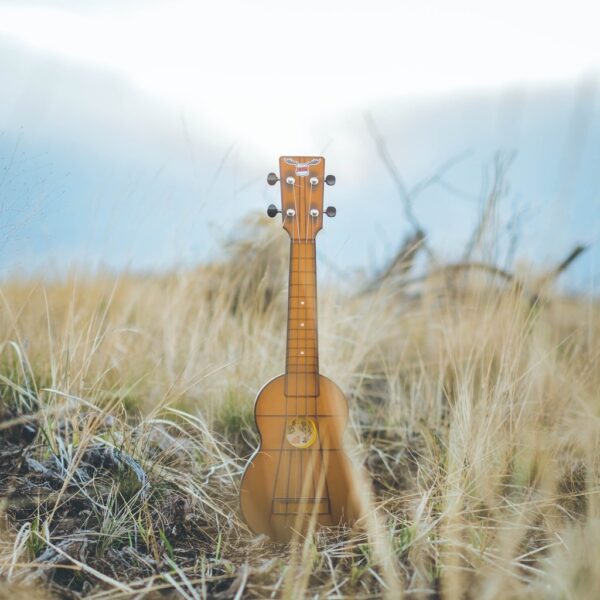 Outdoor Ukulele Brown Soprano