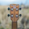 Outdoor Ukulele Brown Tenor - Image 2