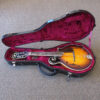 Tailwater TW-F5 F-Style Mandolin - Image 12