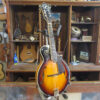 Tailwater TW-F5 F-Style Mandolin - Image 2