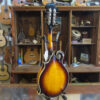 Tailwater TW-F5 F-Style Mandolin - Image 8