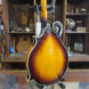 Tailwater TW-F5 F-Style Mandolin - Image 10