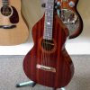 Gold Tone SM Weissenborn + - Image 6