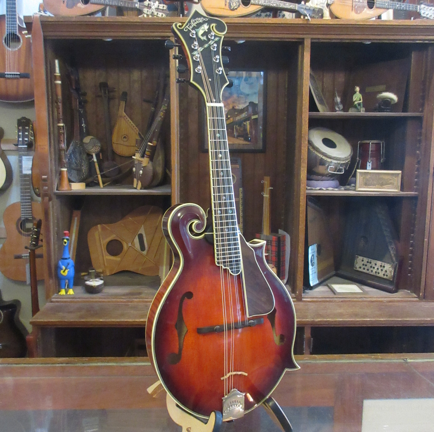 Tailwater TW-F5V F-Style Mandolin - Image 2