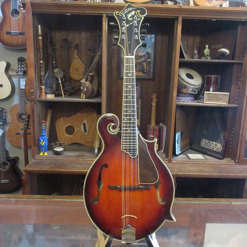 Tailwater TW-F5V F-Style Mandolin