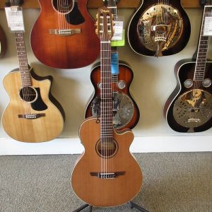 Takamine TSP148NC NS 2019