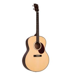 Gold Tone TG-10 Tenor Guitar
