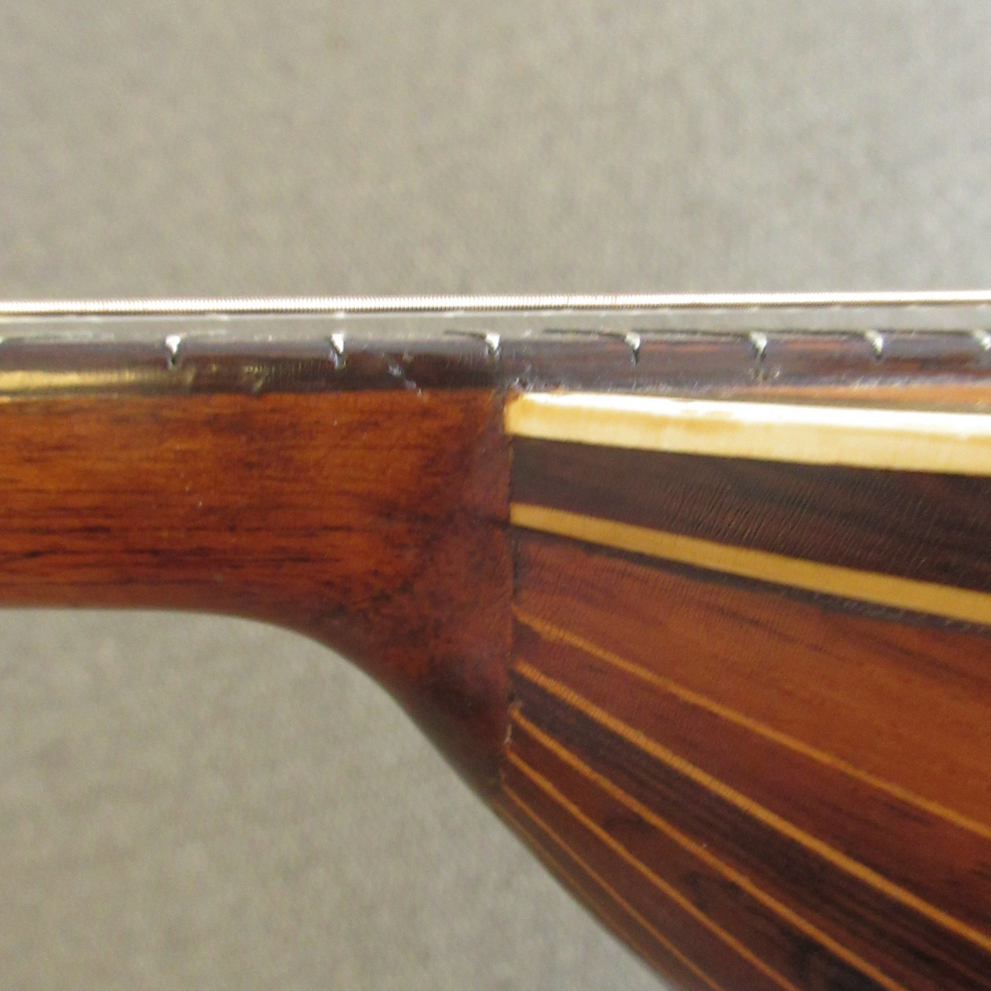 Unlabeled Bowlback Mandolin c.1910's - Image 20
