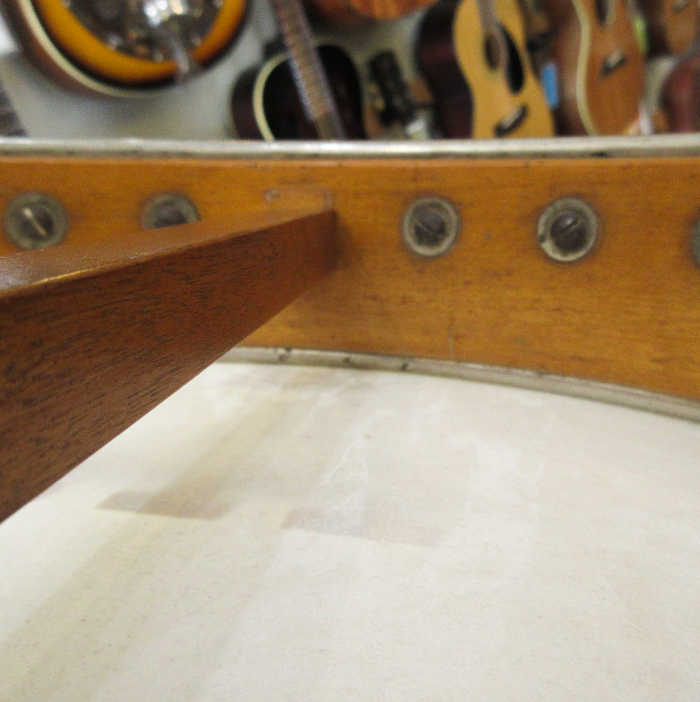Lyon and Healy Openback Banjo c.1900 - Image 19
