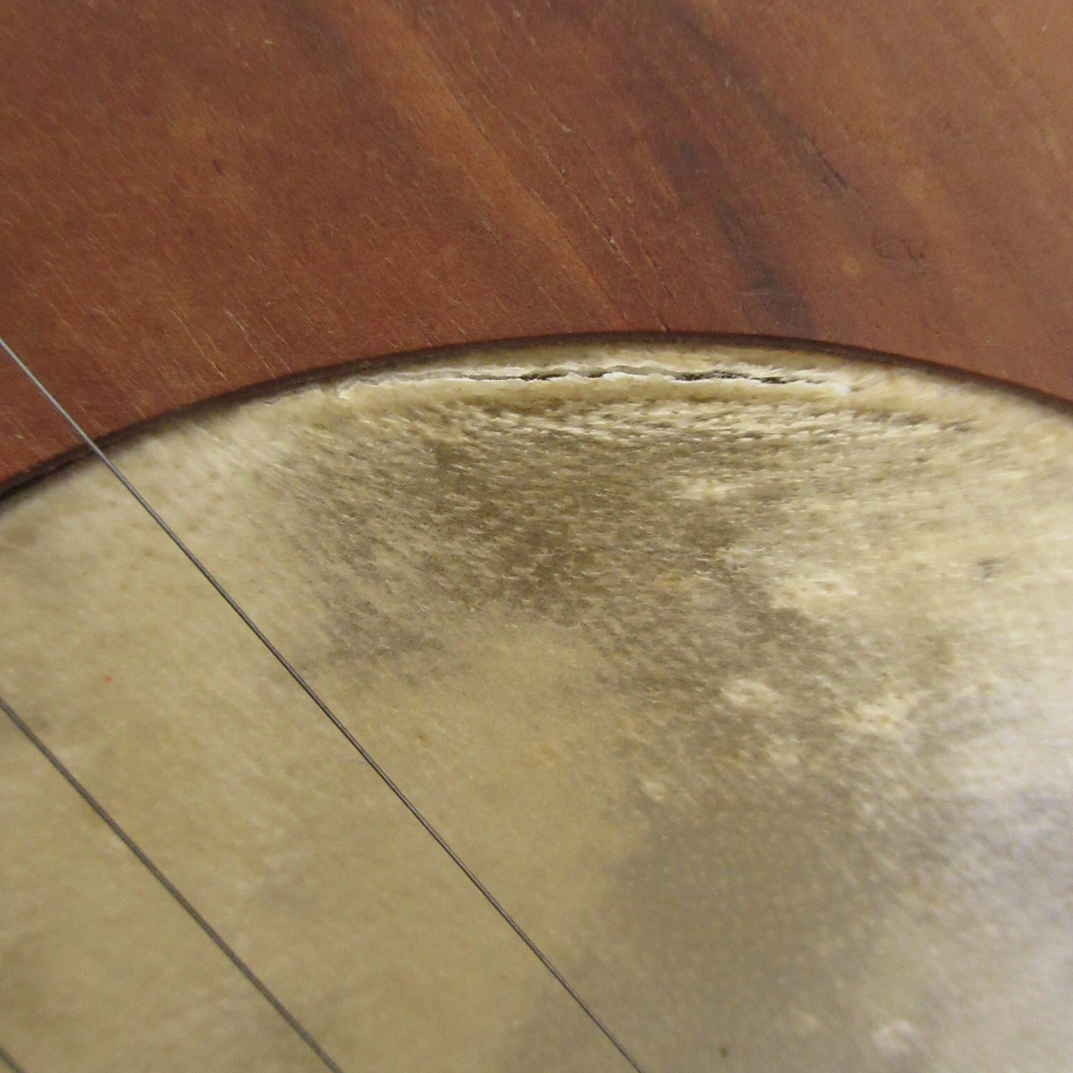 Stanley Hicks/David Love Fretted Folk Banjo 1980 - Image 19