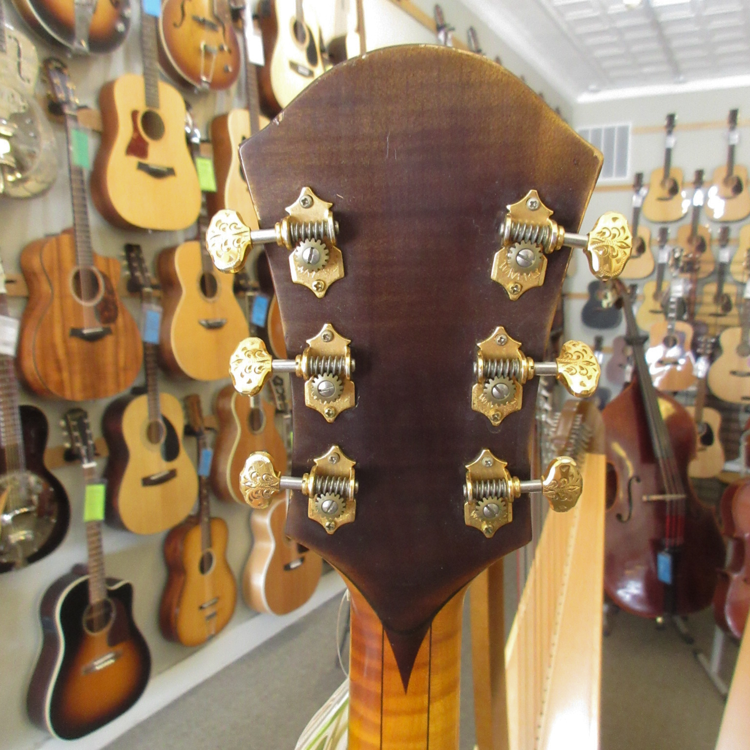 Schaefer Archtop Model 16 2002 - Image 12