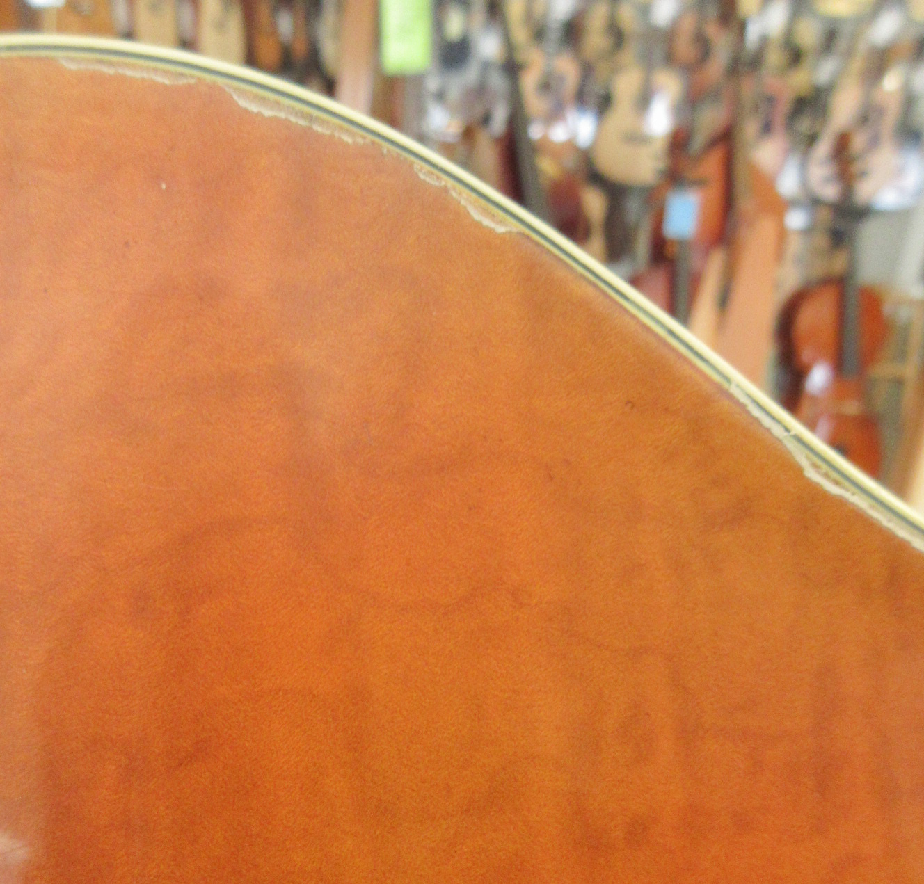 Schaefer Archtop Model 16 2002 - Image 16