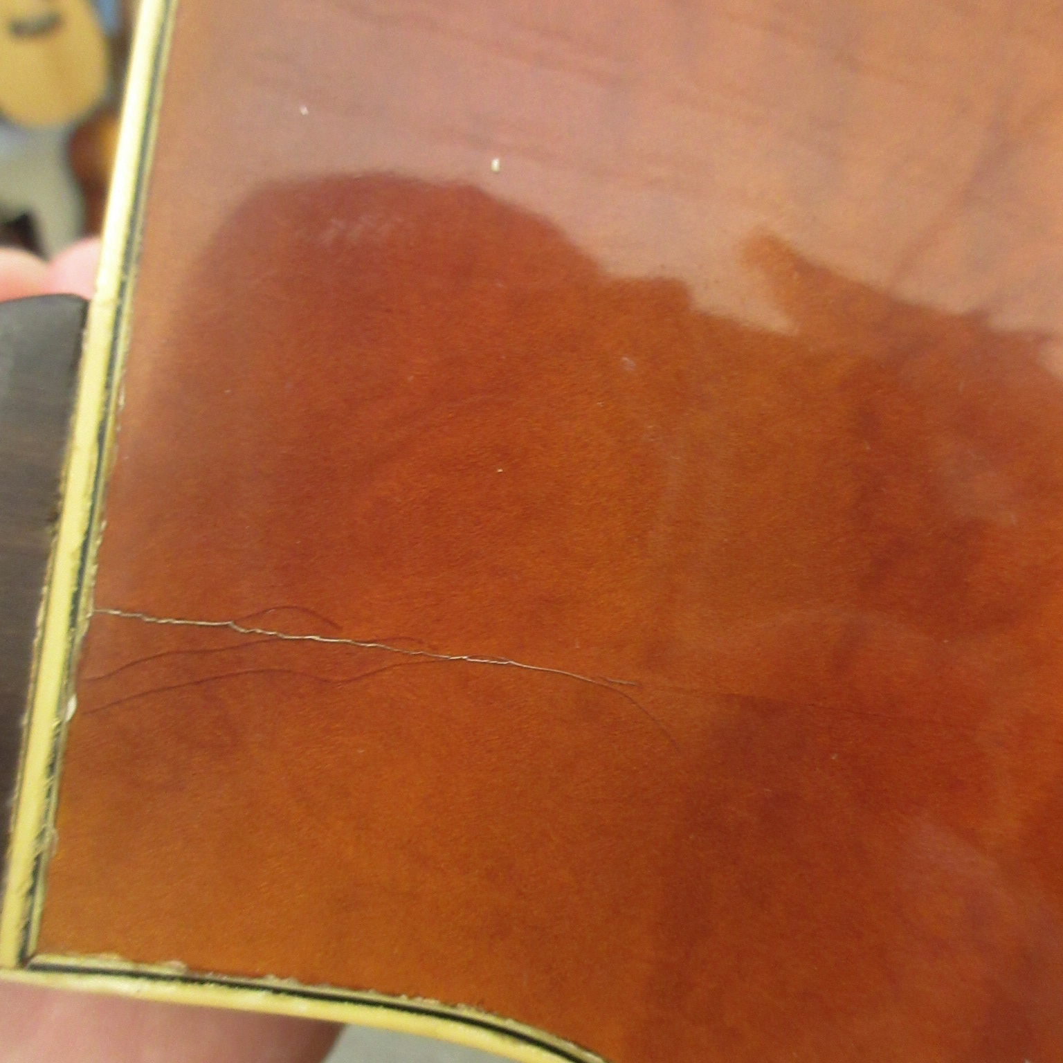 Schaefer Archtop Model 16 2002 - Image 17