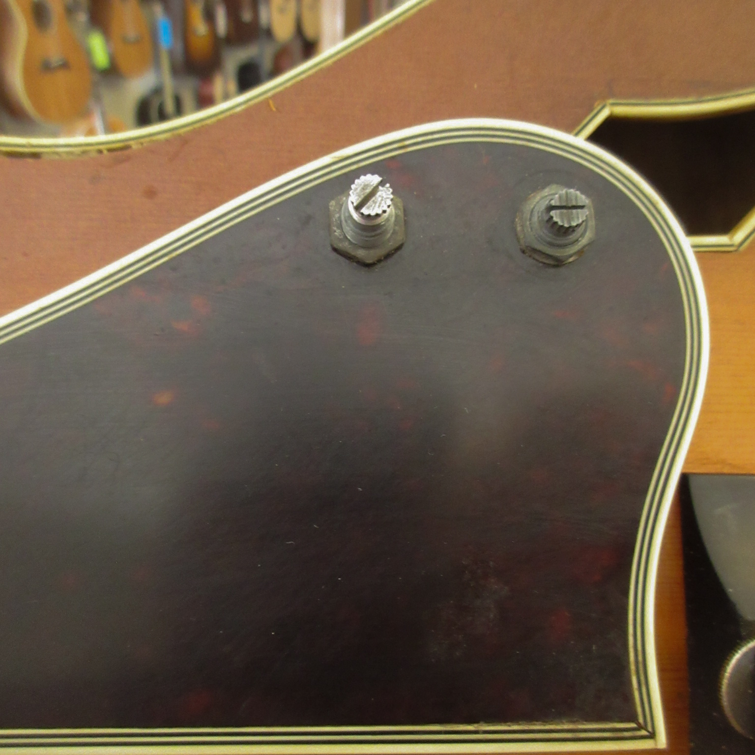 Schaefer Archtop Model 16 2002 - Image 22