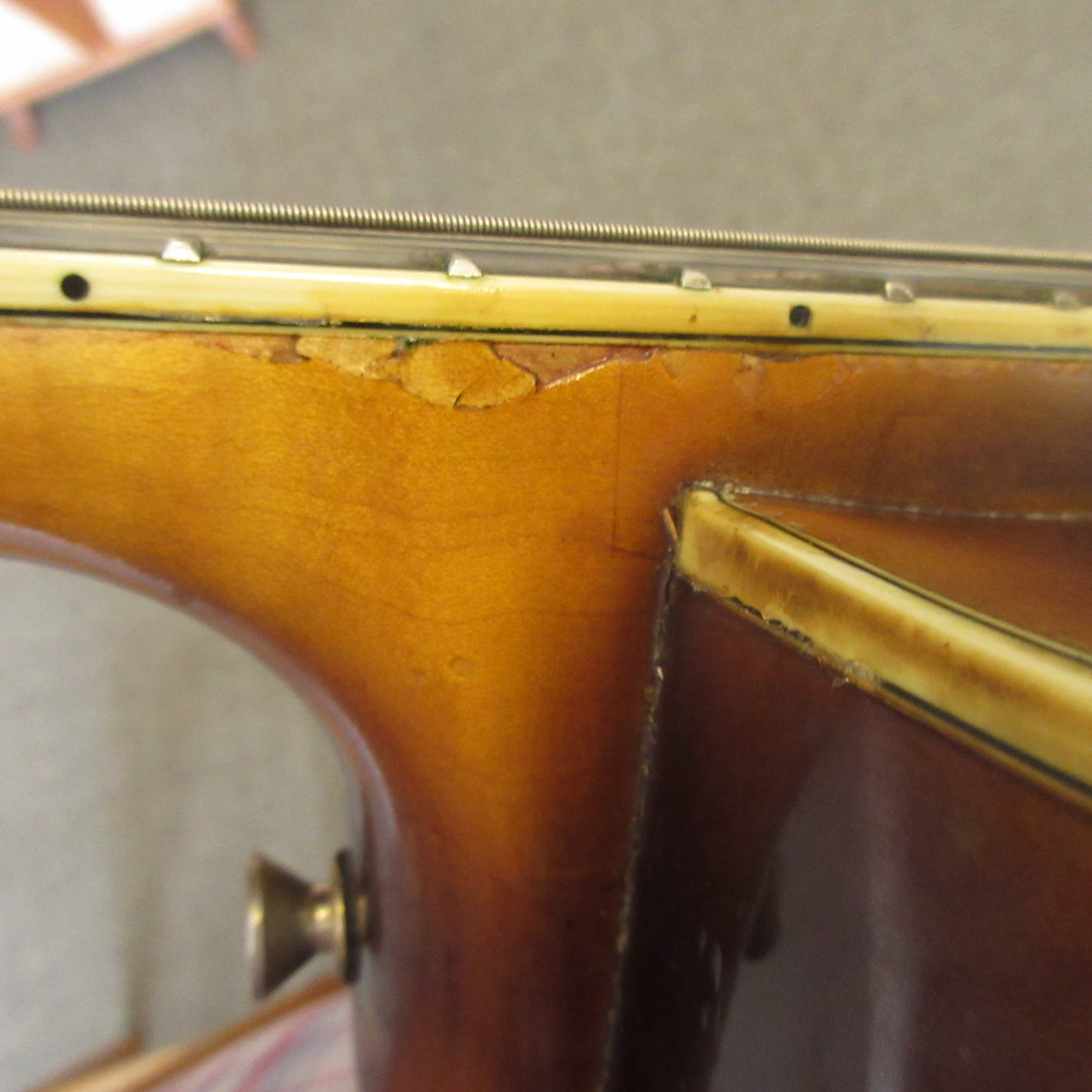 Schaefer Archtop Model 16 2002 - Image 37