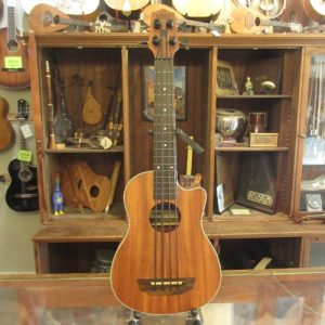 Kala Fretless U-Bass Scout