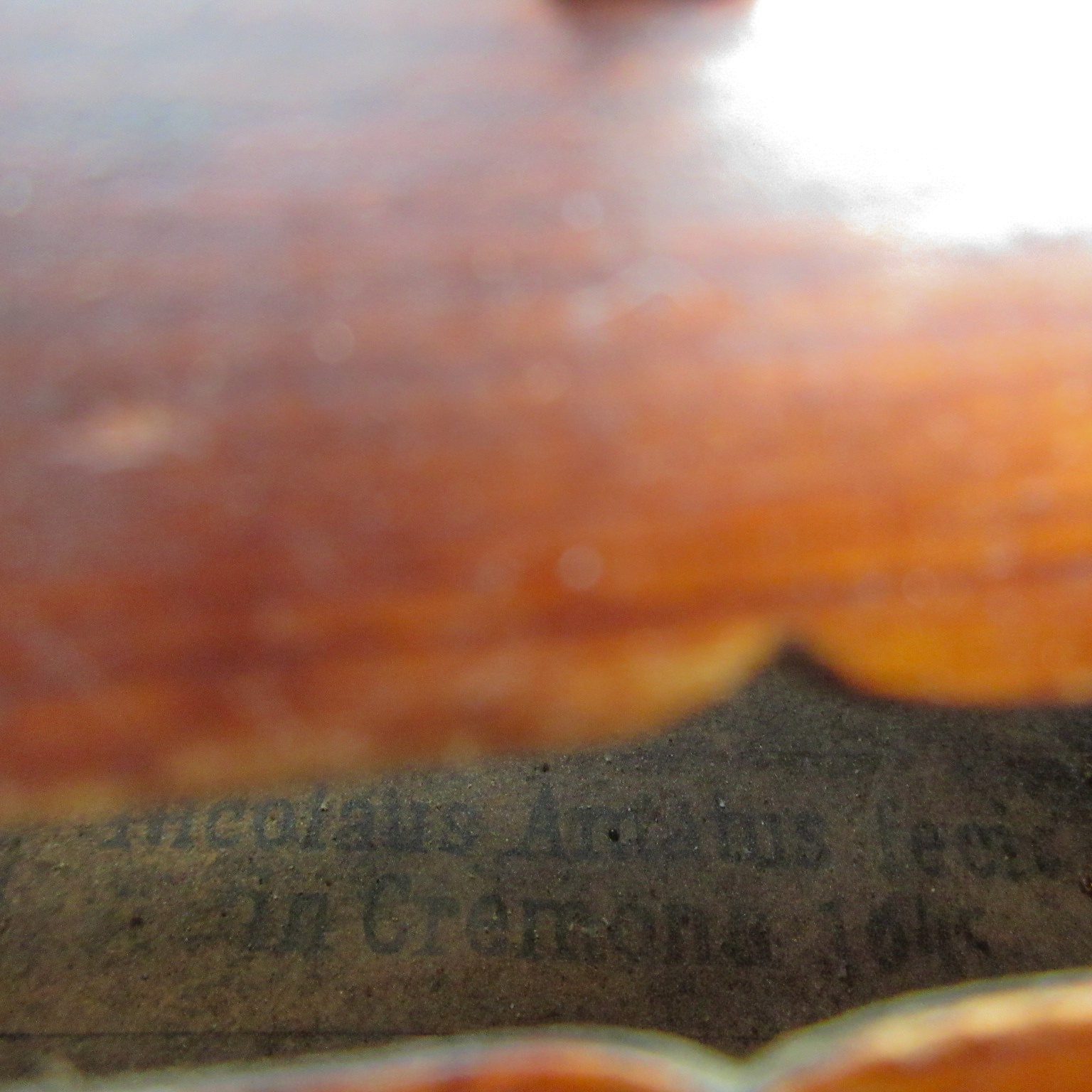 Amati Copy 4/4 - Image 16