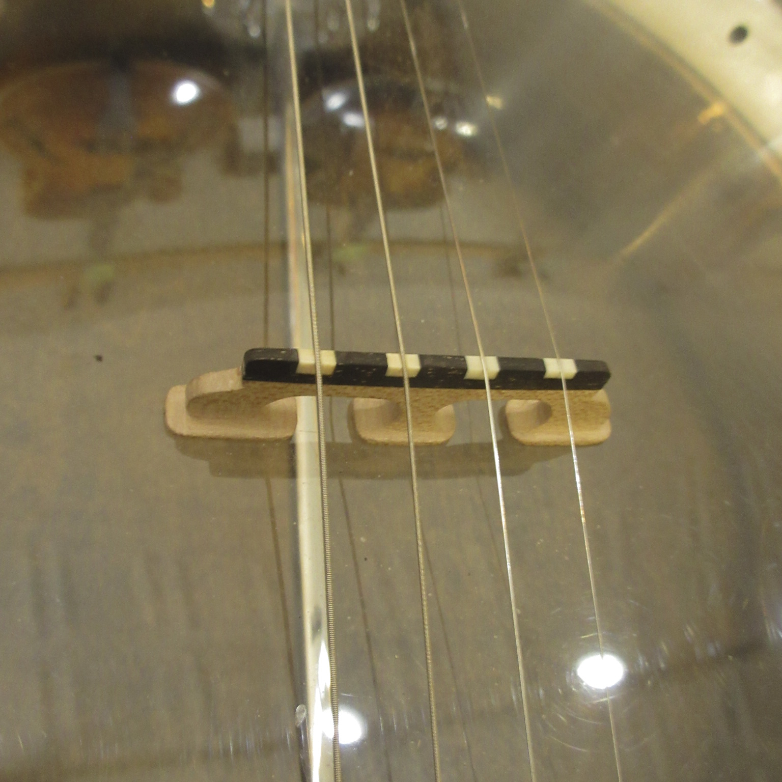 Wildwood Tenor Banjo - Image 17