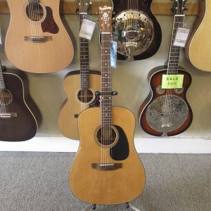 Blueridge BR-40