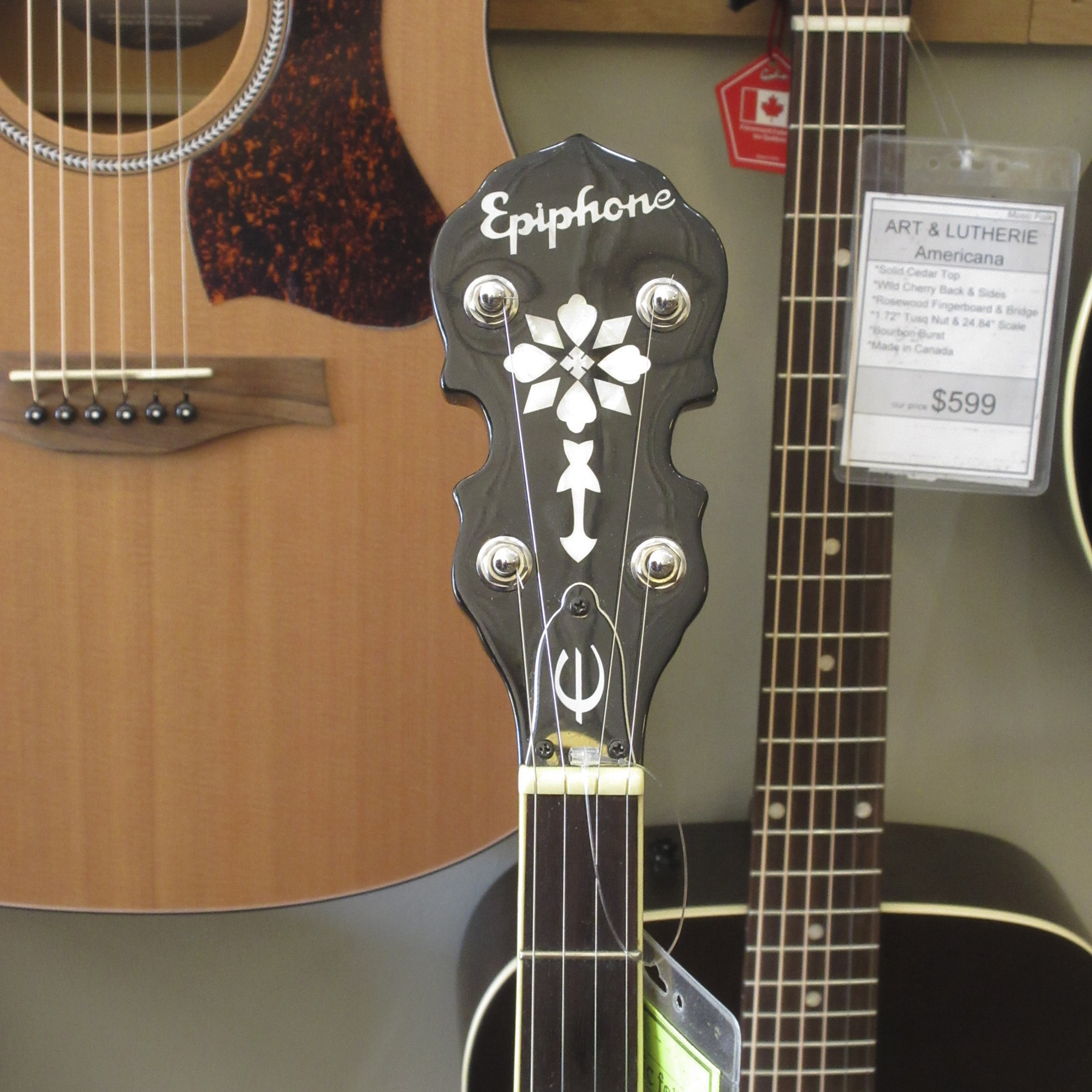 Epiphone MB-200 Bluegrass Banjo - Image 7