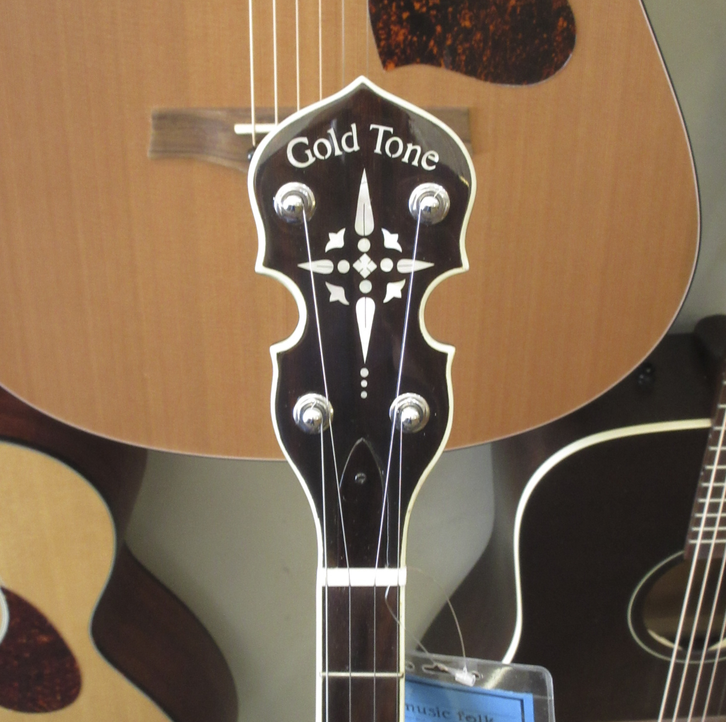 Gold Tone BG-150F - Image 7