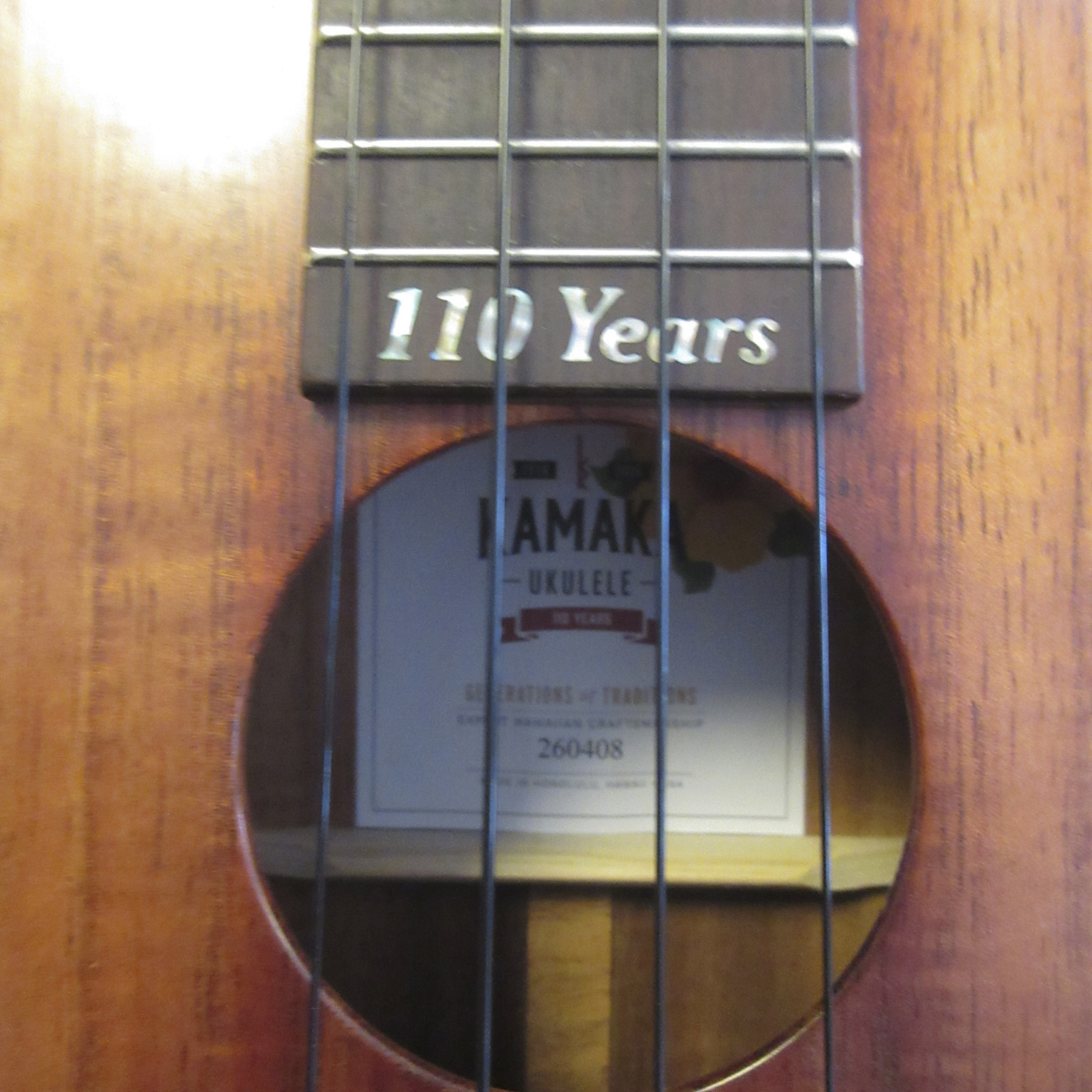 Kamaka HF-2 Concert - Image 12