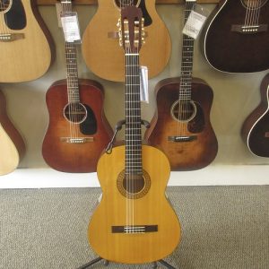 Takamine G-124S