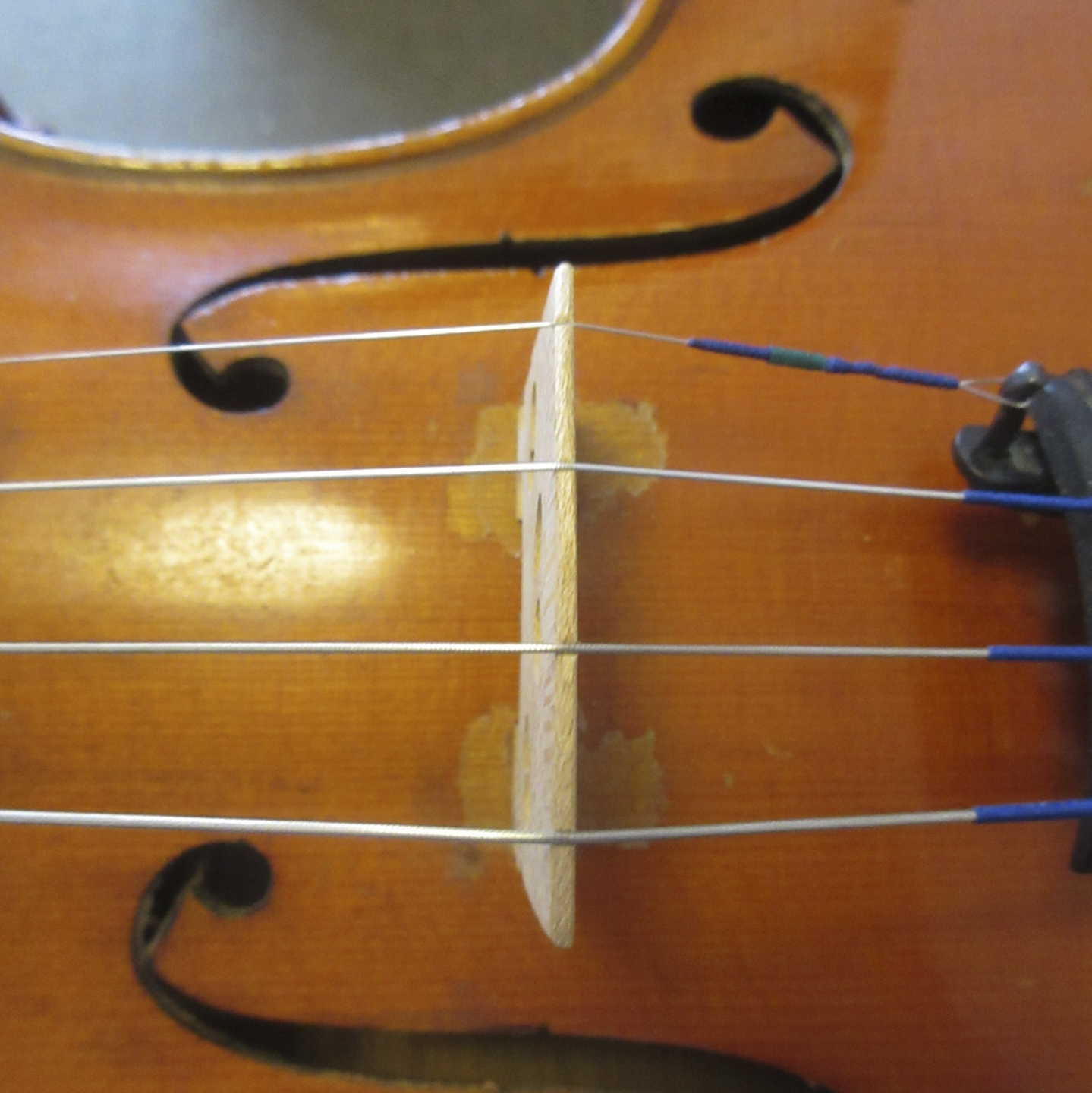 Wilhelm Ernst Martin 4/4 Violin - Image 16