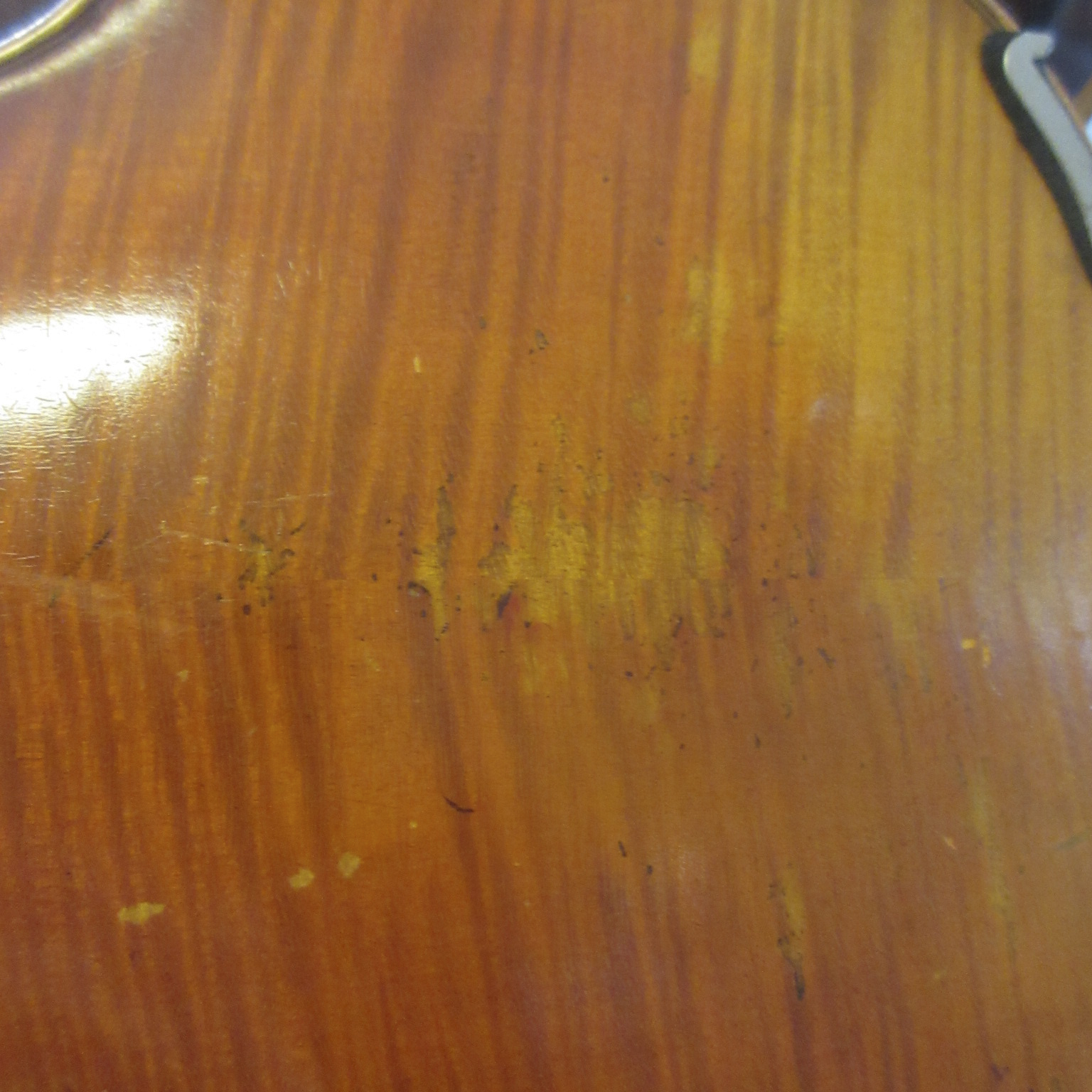 Wilhelm Ernst Martin 4/4 Violin - Image 18