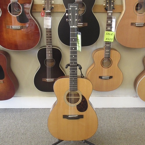 Eastman E10 OM-TC
